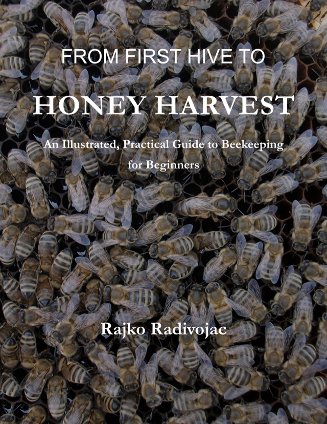 Cover of From First Hive to Honey Harvest